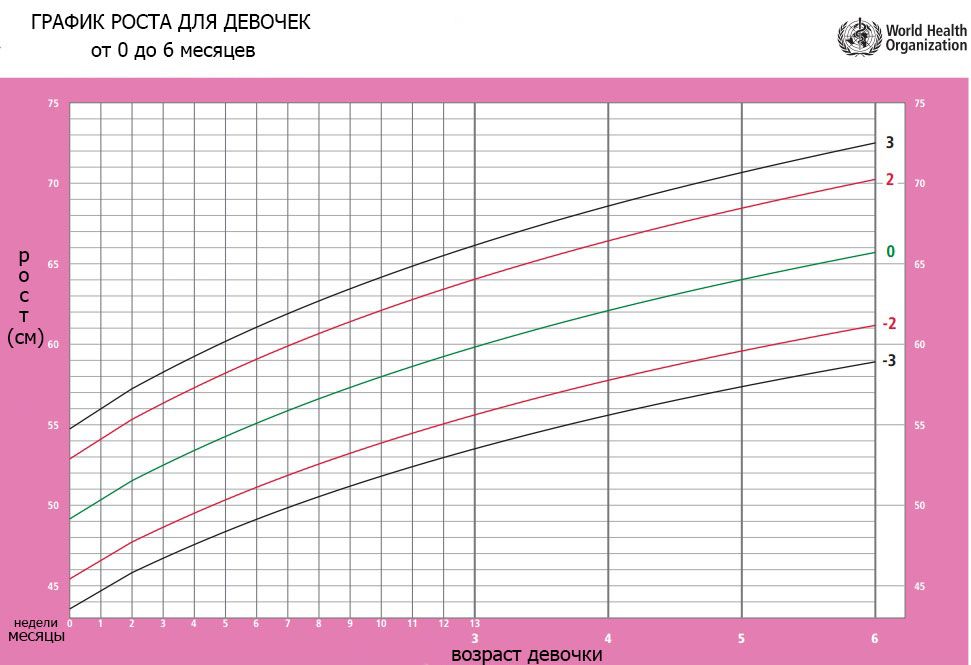 график роста для девочек от рождения до 6 месяцев фото