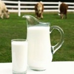 коровье молоко фото